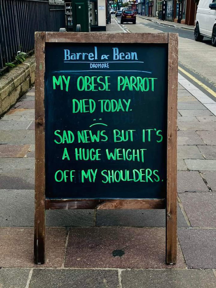 What’s orange and sounds like a parrot? A carrot. 9GAG