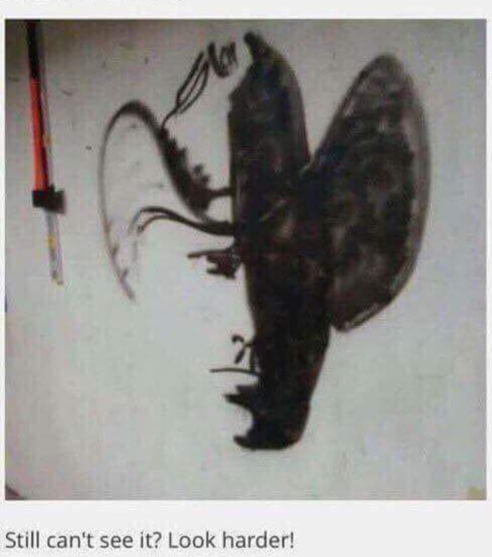 Once you see it, you can't unsee it. 9GAG