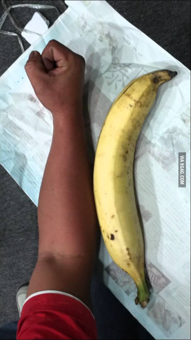 Biggest banana species. 