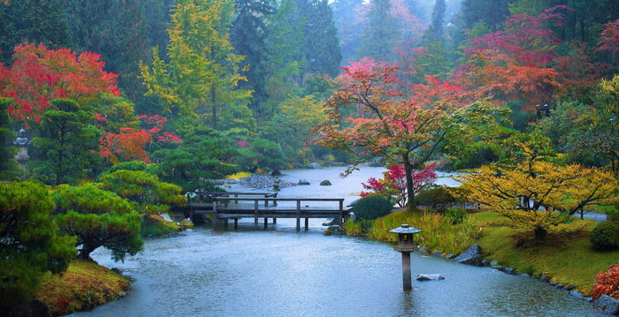 Japanese Garden on a rainy day - 9GAG