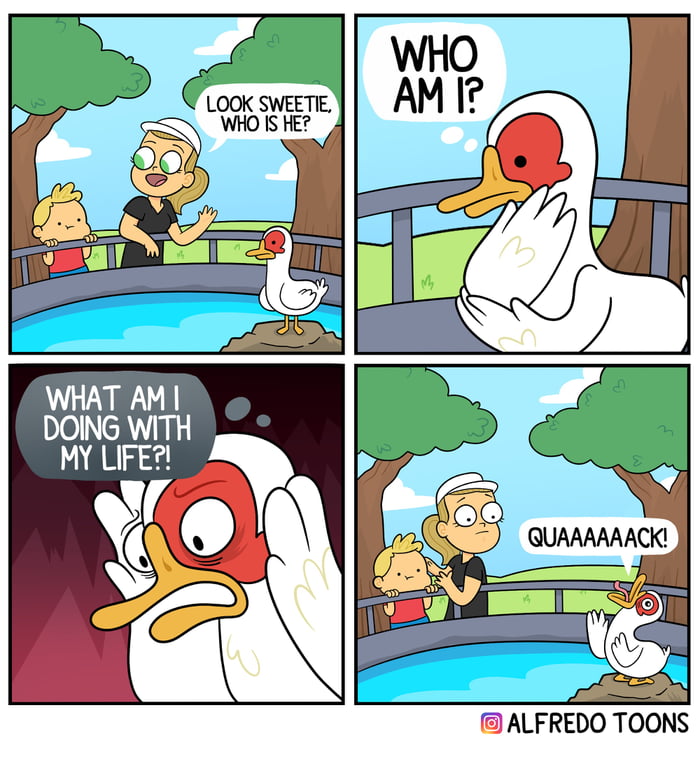 Quack?! - 9GAG