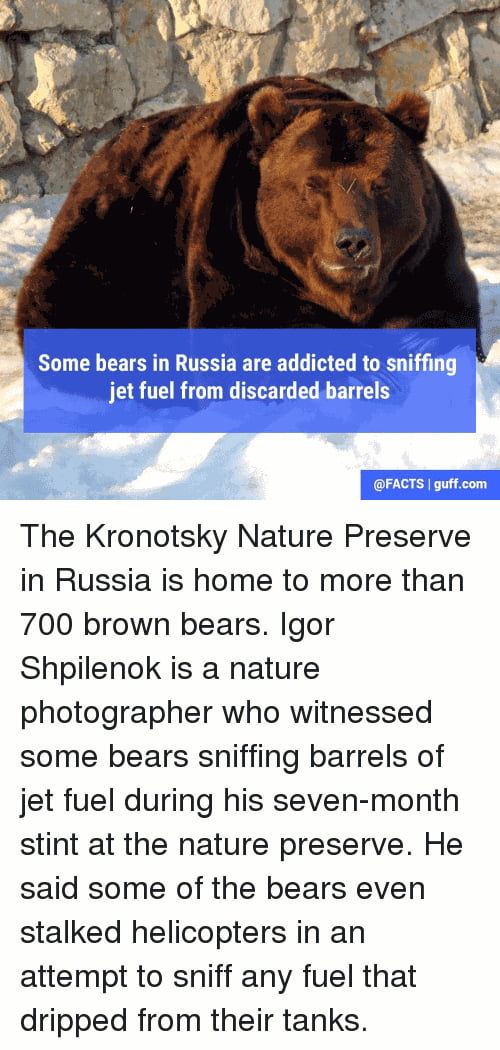 In Soviet Russia, jet fuel melt bears brains... 9GAG