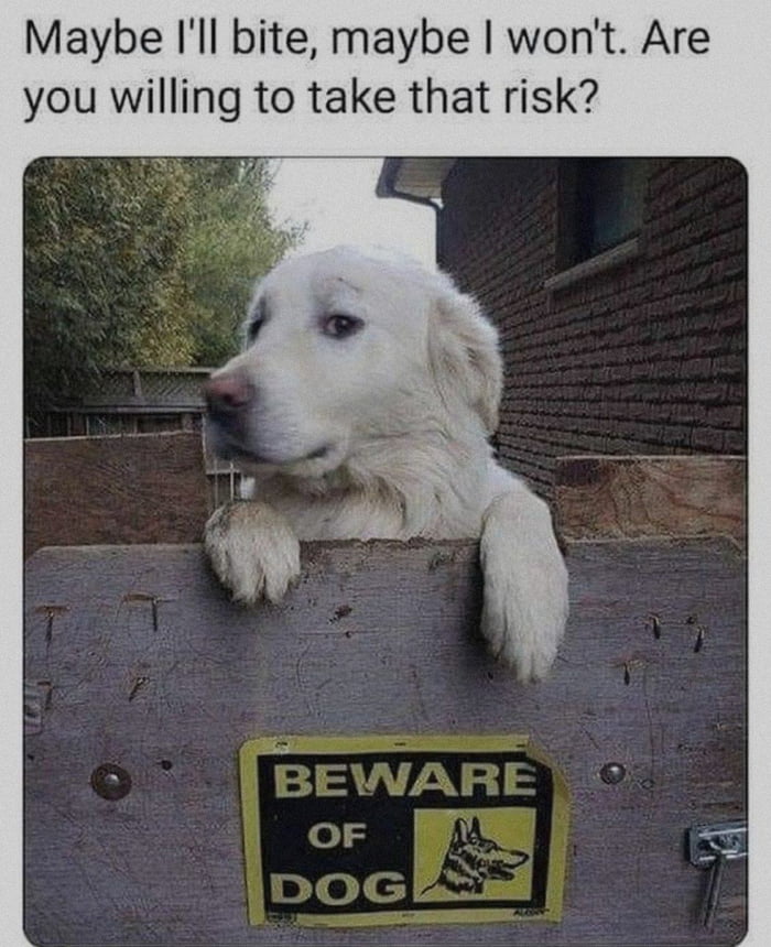 Worth A Risk 9GAG