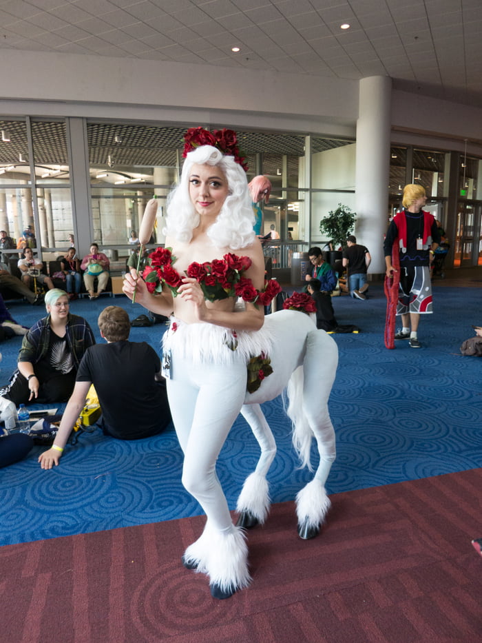 Centaur Cosplay 9GAG