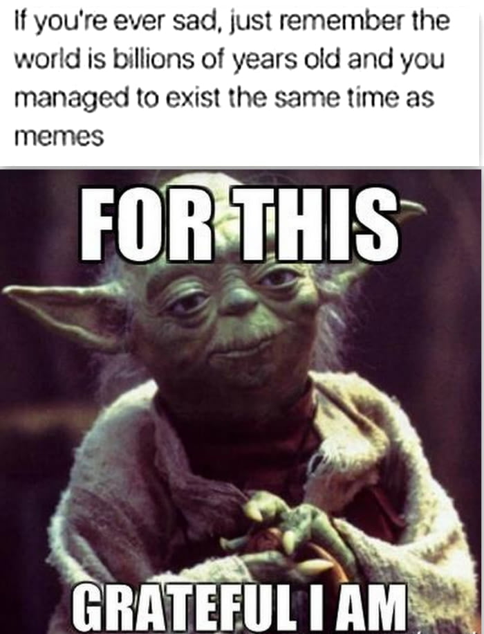 so grateful for this ! 9gag apQGgxE_700b_v1 so grateful for this ! 9gag