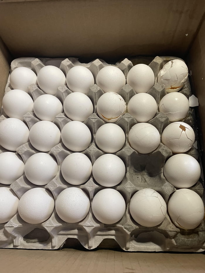 Eggs are already expensive! - 9GAG