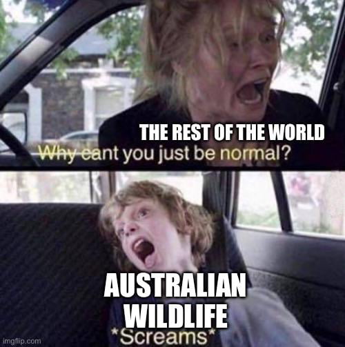 Just another day in the land down under. - 9GAG