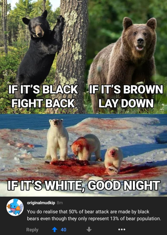 Black bear lives matter - 9GAG