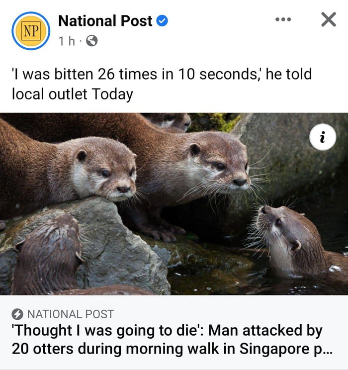 Otterly Frightening - 9gag