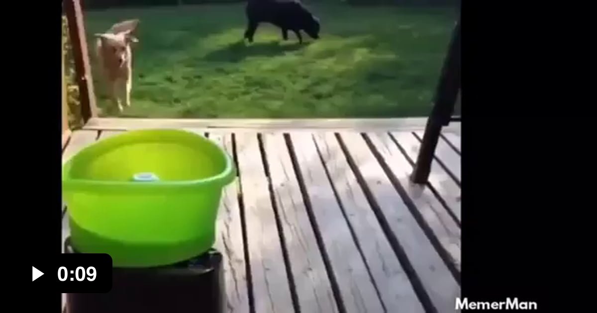 Playing Tippy taps 9GAG