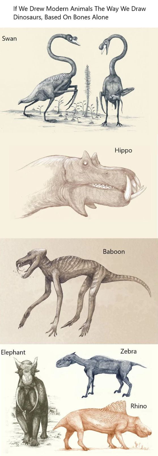 If we drew modern animals the way we draw dinosaurs, based on bones