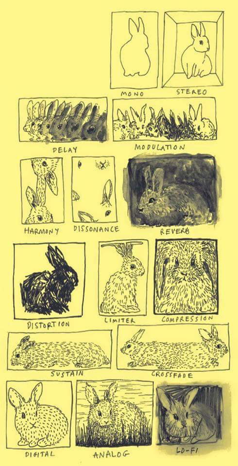 A graphical representation of audio effects through bunnies - 9GAG