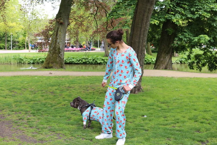 matching dog and owner onesie
