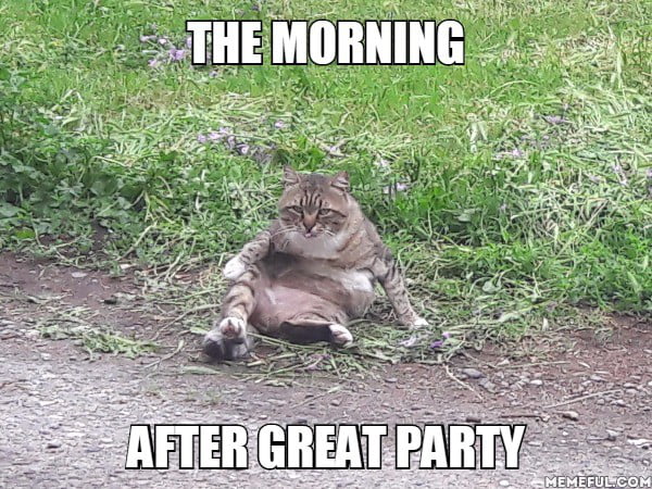 The Morning After Great Party 9gag