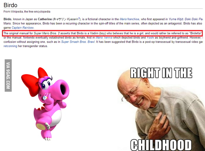 Birdo is a guy! - 9GAG