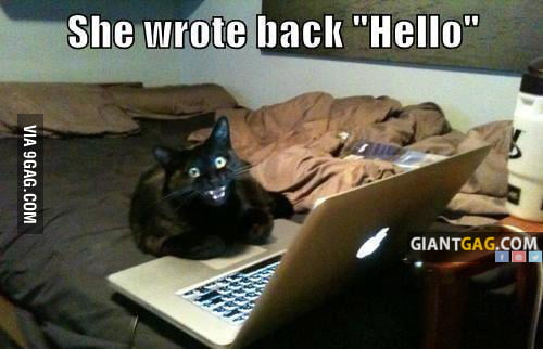 Happy cat - 9GAG