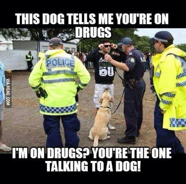 I'm on drugs? - 9GAG