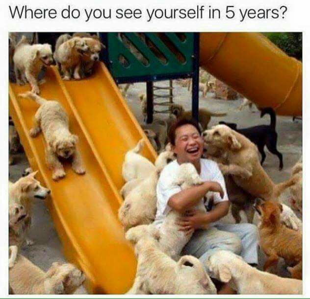 where-do-you-see-yourself-in-5-years-9gag