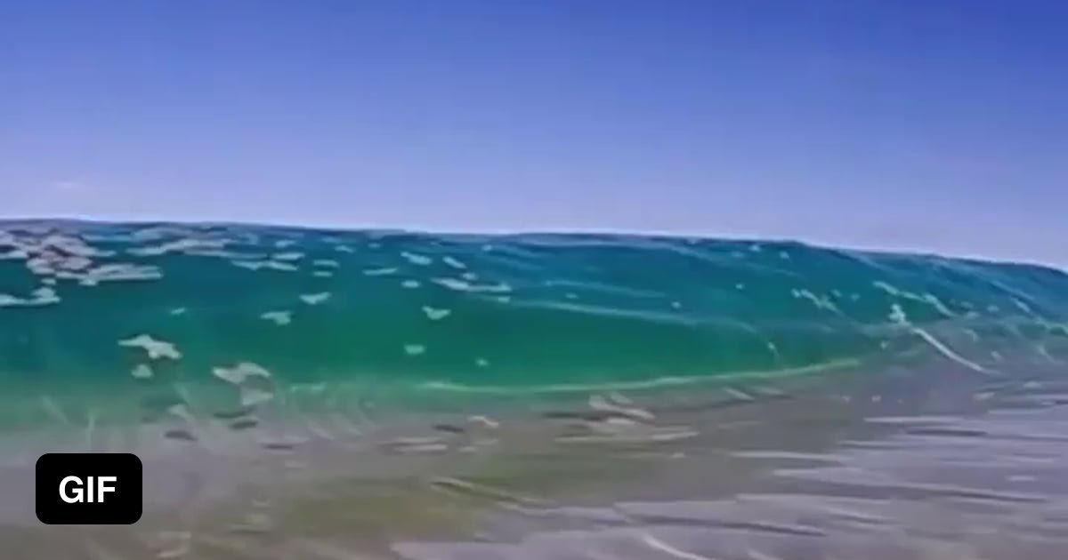 Curl of a wave - 9GAG
