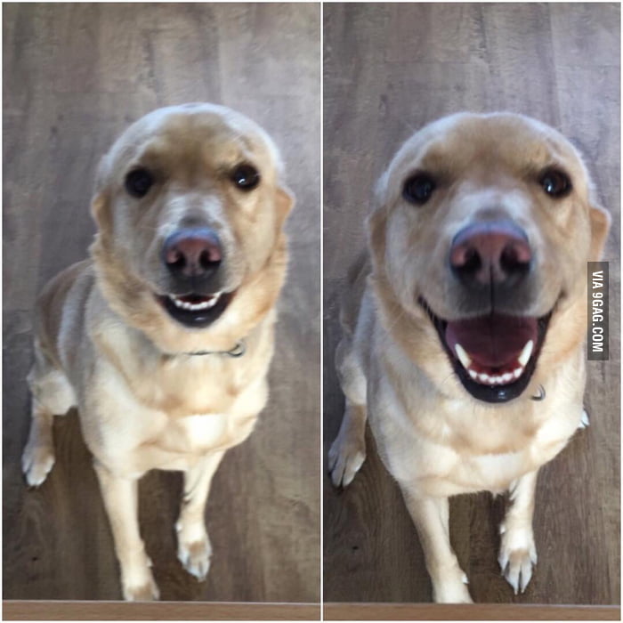 Say cheese! - 9GAG