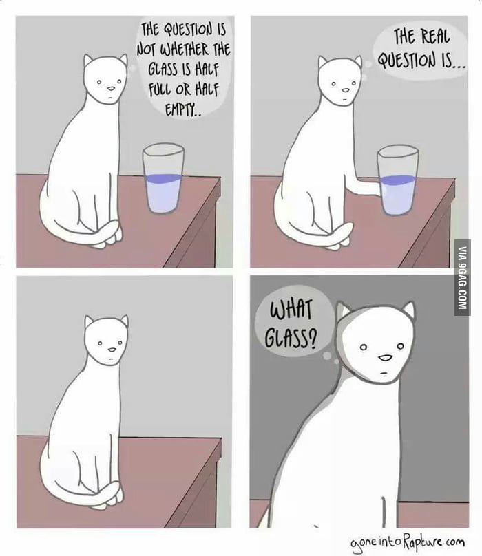 Don't argue with cat - 9GAG