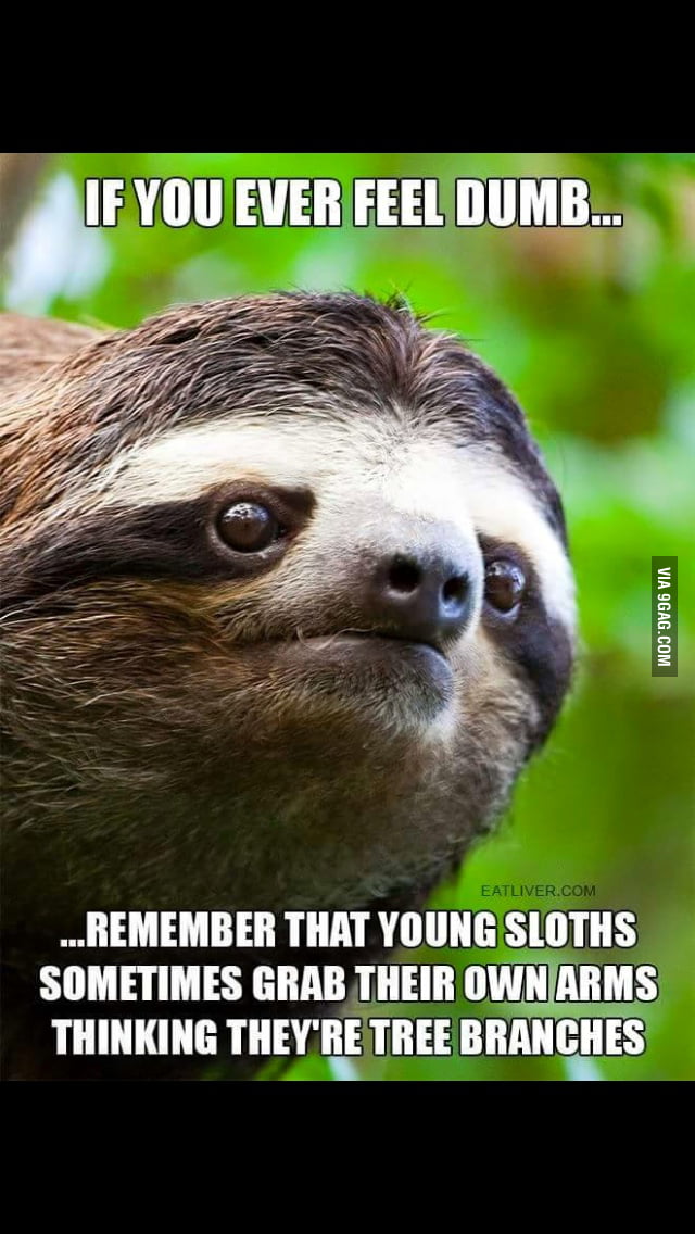 I Feel Related To Sloths 9gag