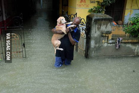 Man carrying his dog during a flood in India. - 9GAG