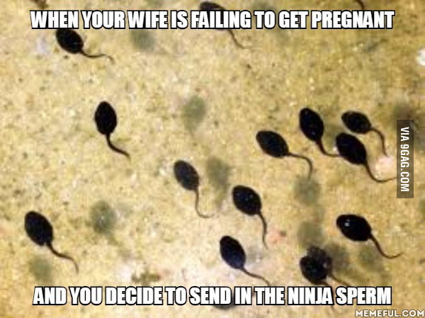 Tadpoles kind of look like ninja sperm - 9GAG