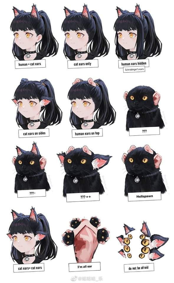 Im All Ears Cat