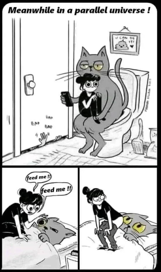 Makes me always laugh - 9GAG