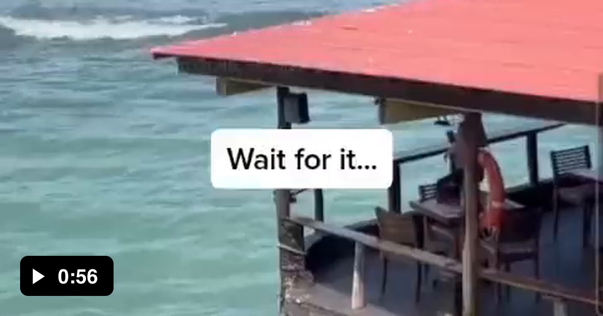 "This is my home now" 9GAG