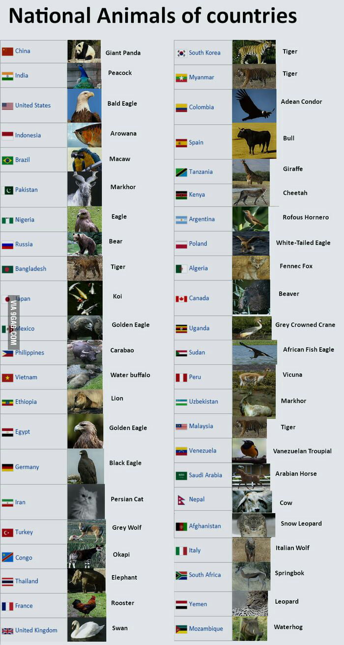 national-animals-of-countries-if-you-ever-need-it-9gag