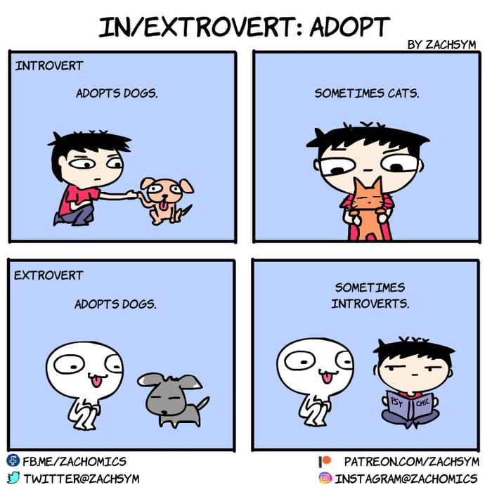 Adopt Don T Shop Look Out For Introverts Readily To Be Adopted Around