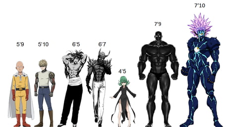 Accurate Height Chart