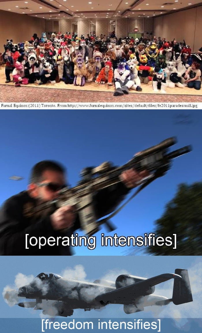 [Furry convention Massacre Intensifies] - 9GAG