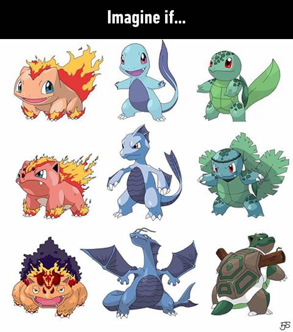 Magmasaur, Aquazard and grasstoise - 9GAG