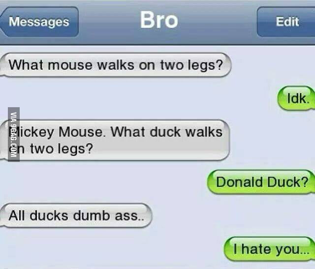 What Duck Walks On 2 Legs 9gag