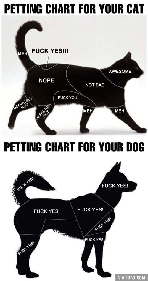 Petting chart Cat and Dog edition 9GAG