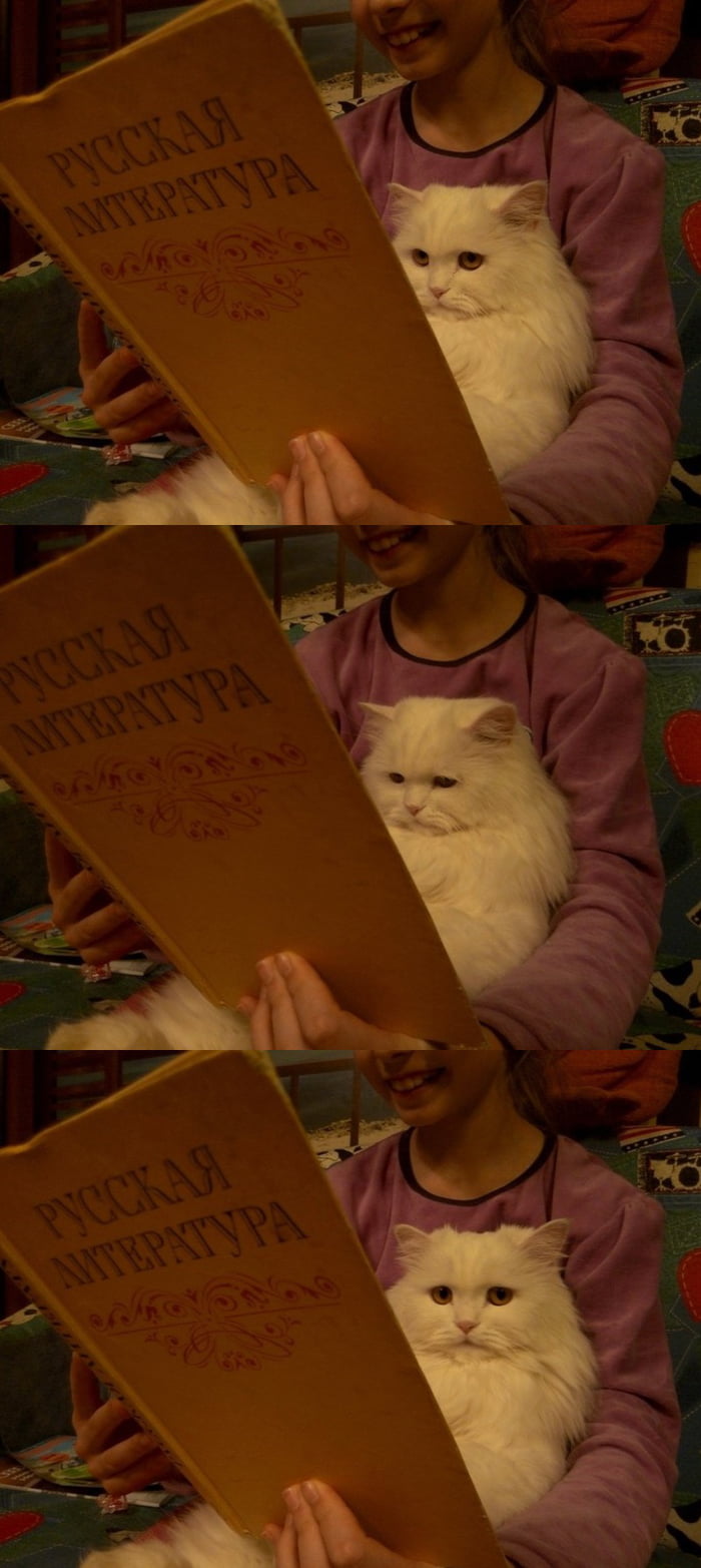 aqbj6Lv_700b.jpg