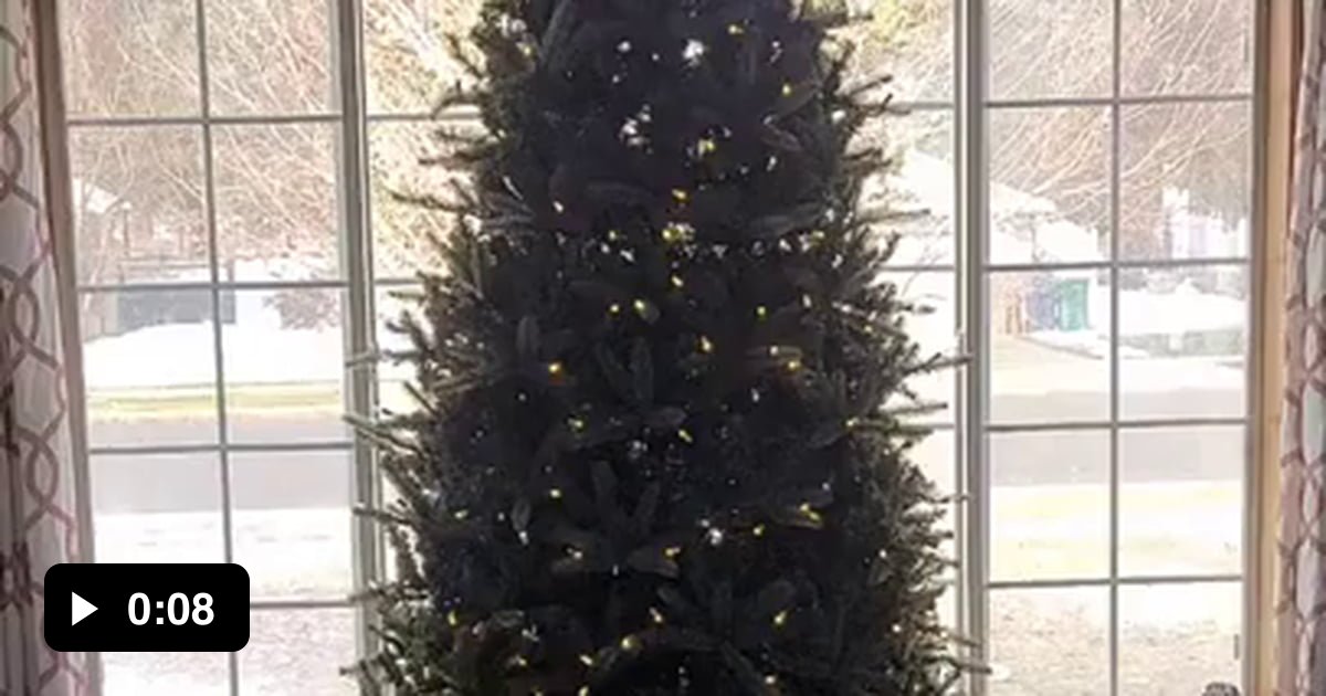 An adjustable Christmas tree 9GAG