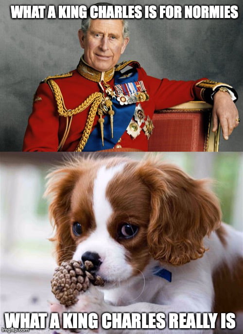 ozzy king charles meme