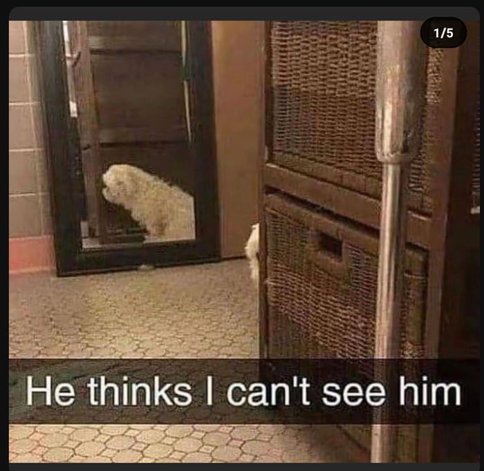 He thinks I can't see him 9GAG