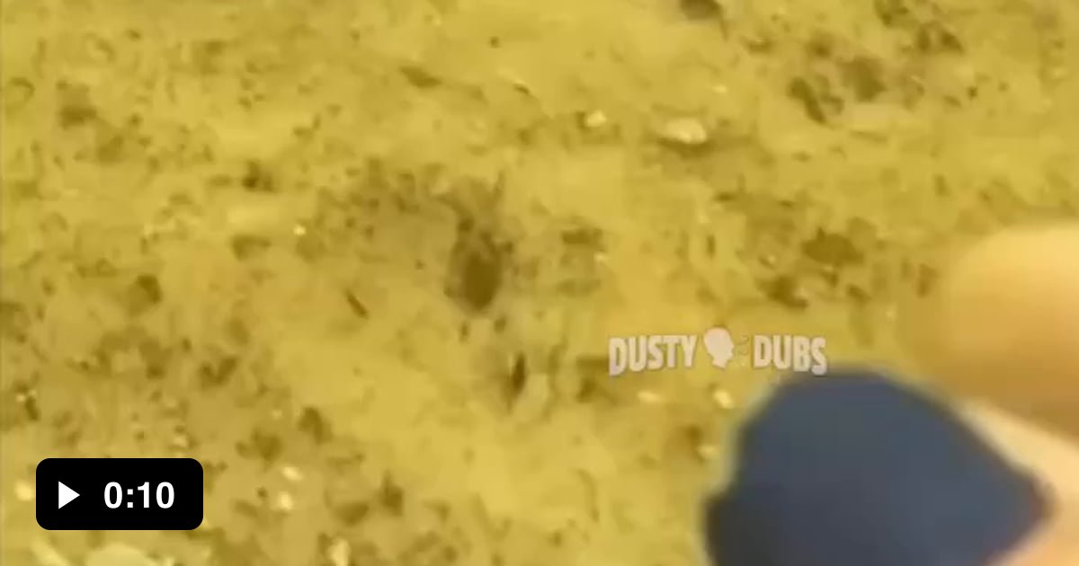 Scallop running 9GAG