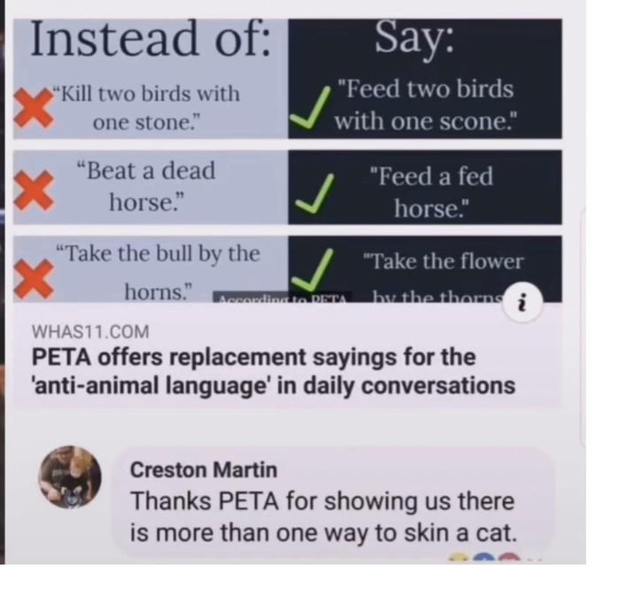 More Than One Way To Skin A Cat History
