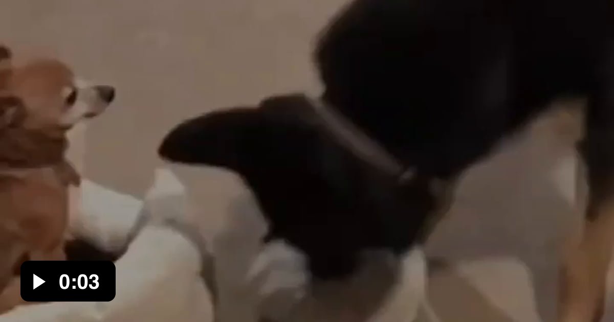 That hit was personal - 9GAG