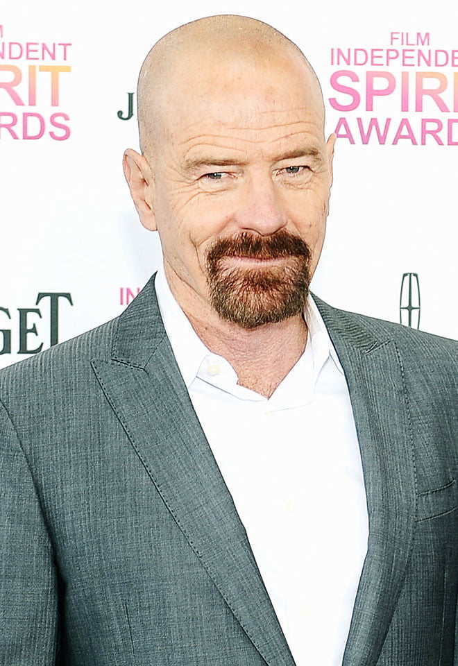 Bryan Cranston Can Play A Lex Luthor Role Imo 9gag