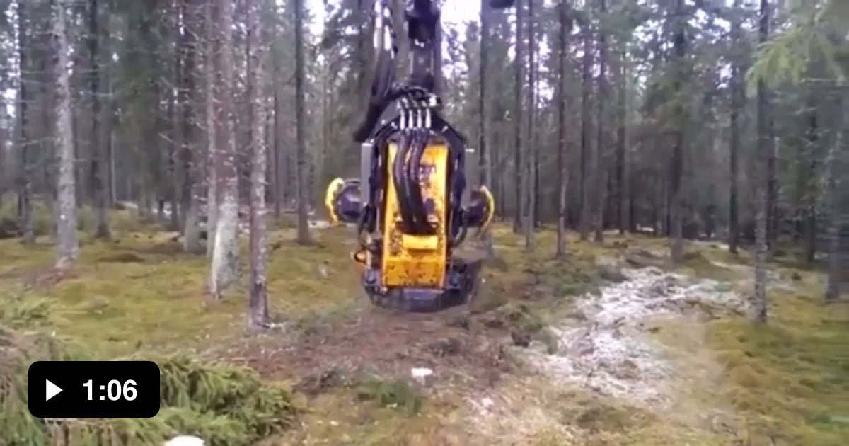Auto logging demonstrated 9GAG