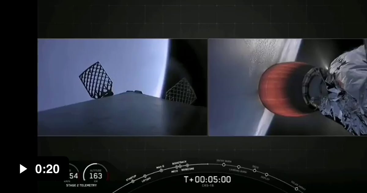 Has SpaceX just sent a rat into space by accident? - 9GAG