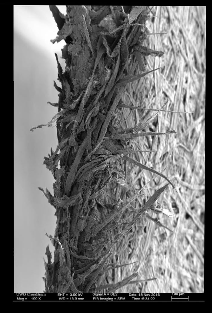 Edge of a sheet of paper, visible under electron microscope. 9GAG