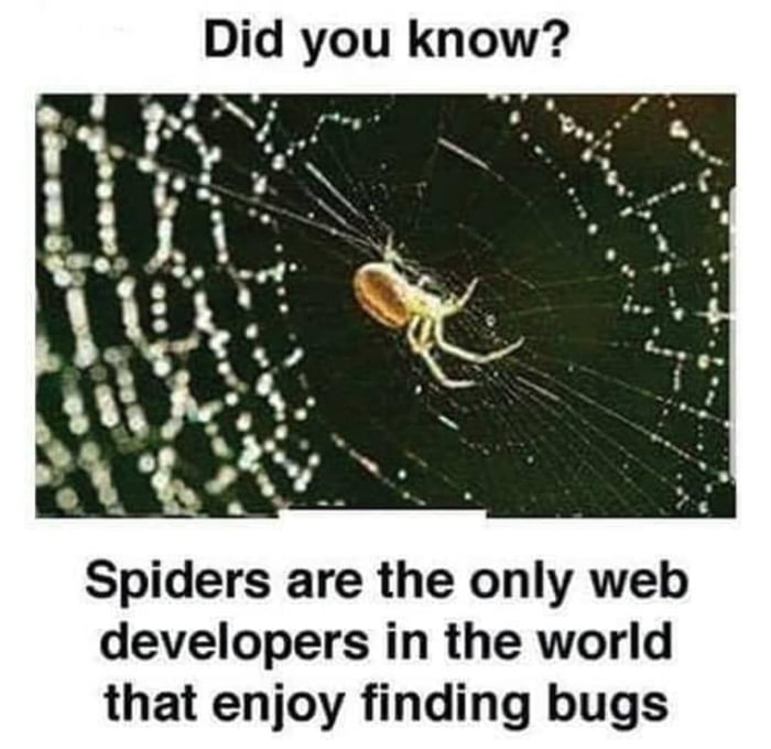 Спокойствие и умиротворение. Teachers attitude. Enjoy finding. Newbell. Счастливая жизнь.